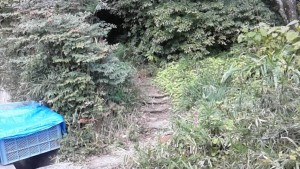 山への入口